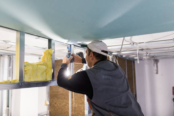 Best Soundproof Insulation  in Olcott, NY