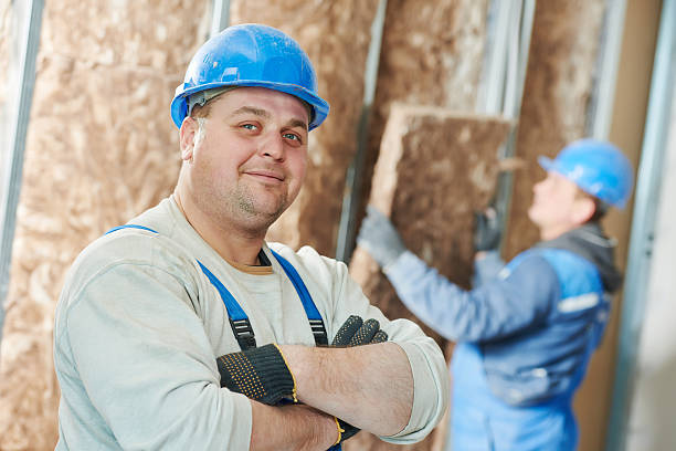 Best Attic Insulation Installation  in Olcott, NY